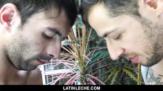 LatinLeche - two Hotel Strangers Agree to Fuck on Cam for Cash 
