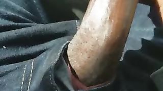 Big dick in the car part 2 Canny Uncut