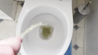 BIG PISSING COMPILATION ⁄ ALLY CHAV ⁄ PISS IN PUBLIC ⁄ HOMEMADE AMATEUR EvilTwinks - SeeBussy.com