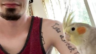gay porn video - Xanderhardy (44) - SeeBussy.com