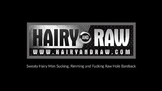 HAIRYANDRAW Gay DILF Dante Kirkdale Raw Breeds Sebastian Sax Hairy And Raw - Free Amateur Gay Porn