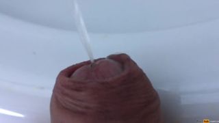 my dick pissing - close up view smellmydick - Free Gay Porn 2