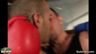 Gay boxing guys having sex in the gym
